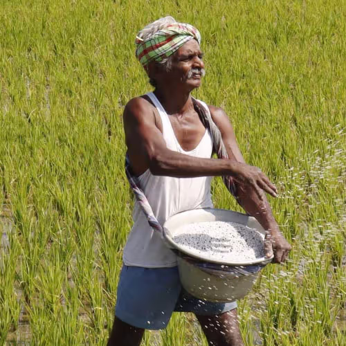 AGRICULTURE