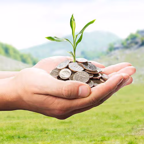 MICROFINANCE